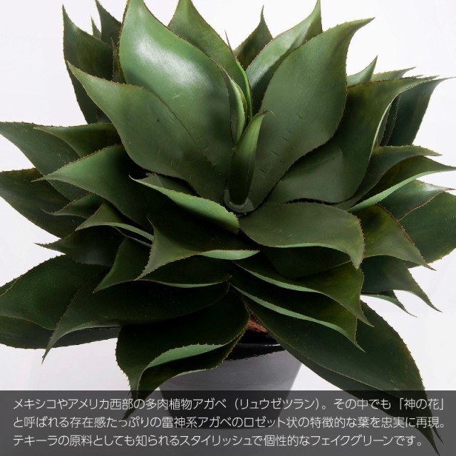 最高の 観葉植物 造花 フェイクグリーン 人工観葉植物 光触媒 アガベ雷神多肉ポット 95cm 鉢植 インテリア おしゃれ フェイク グリーン Ct触媒 注目の Olsonesq Com