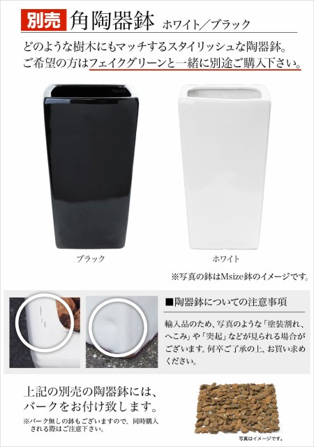 定番お買い得⋋ 大型 の通販はau PAY マーケット - 神戸花物語|商品ロットナンバー:450495671 210cmフィカスツリー L ナチュラルトランク 大人気新品