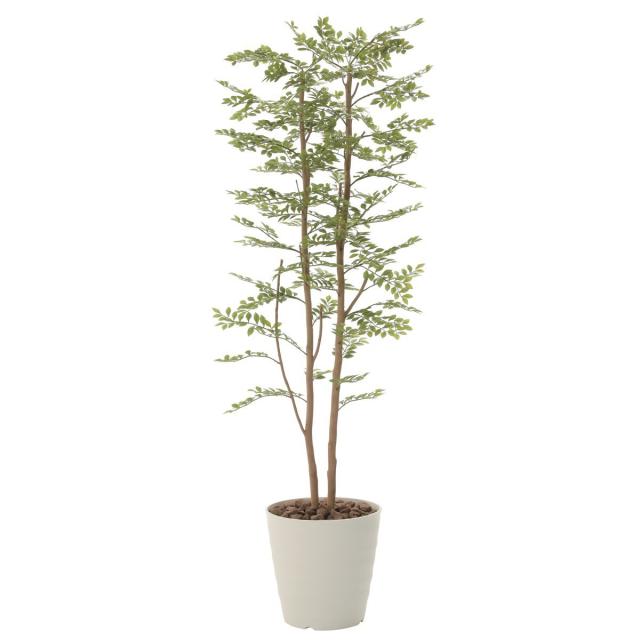 日本ストア 人工観葉植物 フェイクグリーン 観葉植物 造花 ゴ ルデンリ フ 180cm 鉢植 光触媒 インテリア おしゃれ フェイク グリーン 国交省東北地方整備局 Fondationtns Org