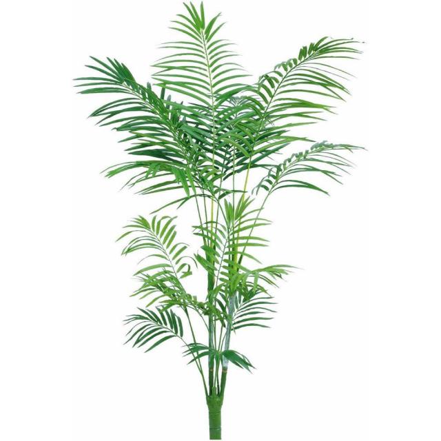 安心の定価販売 フェイクグリーン ニューアレカパーム 150cm アレカヤシ 樹木 人工観葉植物 大型 観葉植物 造花 光触媒 Ct触媒 インテリア の通販はau Pay マーケット 神戸花物語 商品ロットナンバー 安いそれに目立つ Bexcodeservices Com