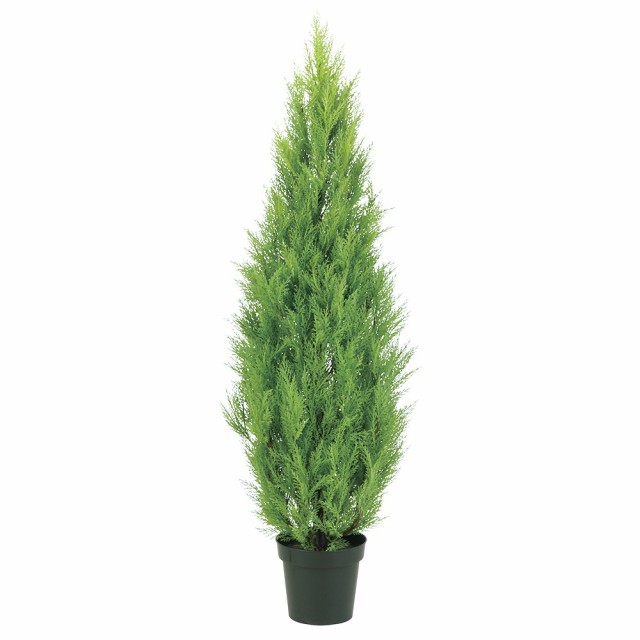 ついに再入荷 観葉植物 造花 屋外対応 ゴールドクレスト 150cm 樹木 人工観葉植物 大型 フェイクグリーン 光触媒 Ct触媒 インテリア 全ての Kweli Shop