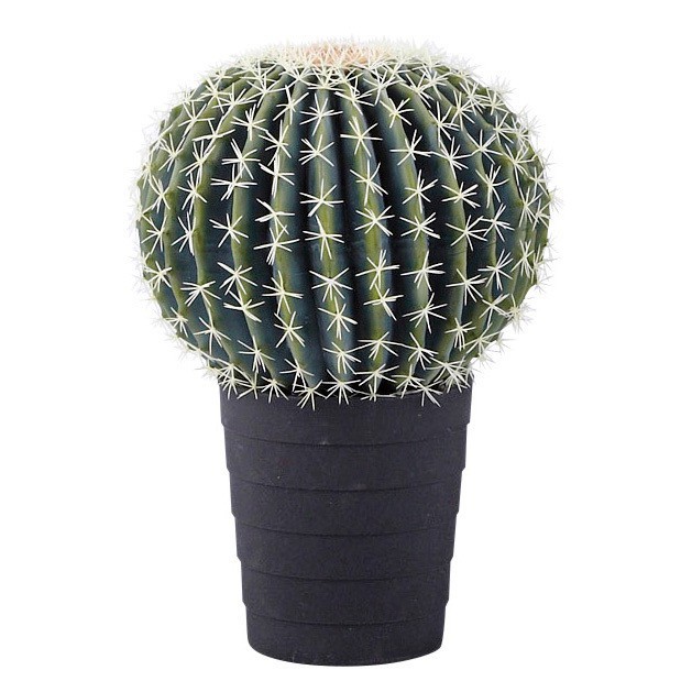 人工観葉植物 フェイクグリーン 観葉植物 造花 大王サボテン 50cm インテリア おしゃれ フェイク グリーン Ct触媒 消臭 抗菌 お祝いの通販はau Pay マーケット 神戸花物語 商品ロットナンバー