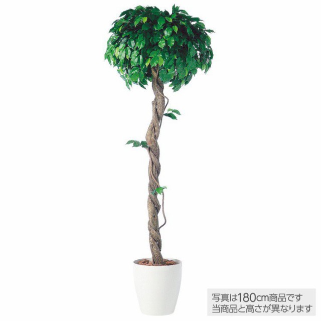 イ 観葉植物 造花 大型 人工観葉植物 通販 光触媒 鉢植 フィッカスベンジャミナシングル Ct触媒 ベンジャミン 0cm フェイクグリーン Coppers Se