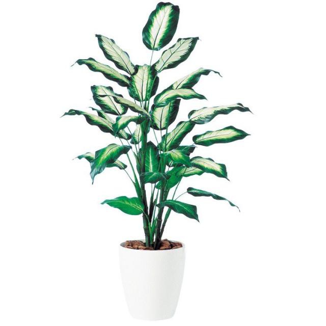 人気が高い フェイクグリーン Ct触媒 カミーラ R 1cm Pay 鉢植 観葉植物 造花 大型 1cm 人工観葉植物 光触媒 Ct触媒 インテリア 腕時計 雑貨 イデアル Ce2bc331 Andersonareaymca Org