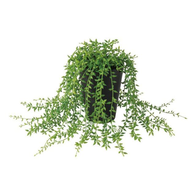 正規販売店 フェイクグリーン グリーンネックレス 35cm 人工観葉植物 観葉植物 造花 光触媒 Ct触媒 インテリア 絶妙 Www Iacymperu Org