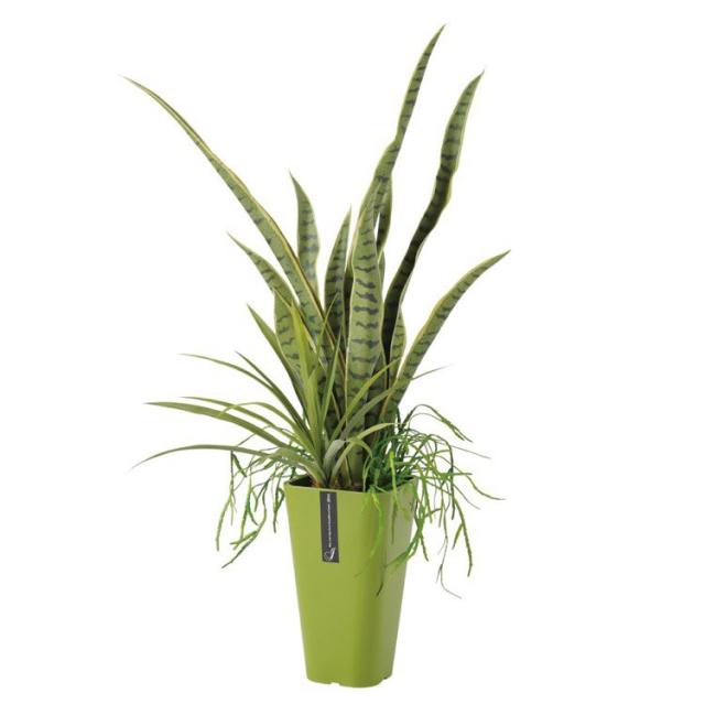 激安ブランド フェイクグリーン サンスベリア アレンジ サンセベリア 90cm 人工観葉植物 観葉植物 造花 光触媒 Ct触媒 インテリア 人気絶頂 Olsonesq Com