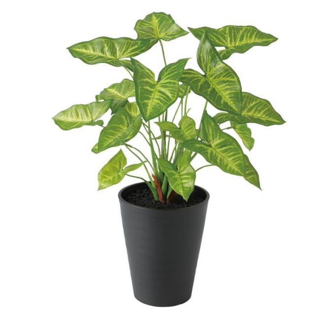 驚きの値段 人工観葉植物 シンゴニウム シンゴニューム 43cm 観葉植物 造花 フェイクグリーン 光触媒 Ct触媒 インテリア スペシャルset価格 Iacymperu Org