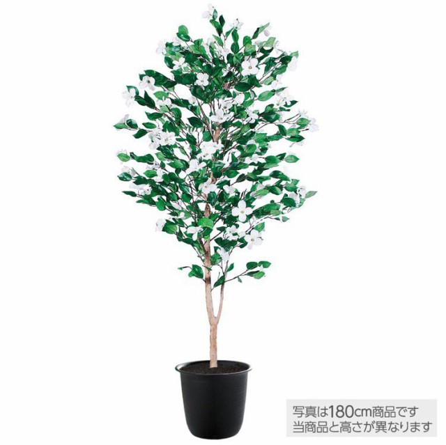 高知インター店 フェイクグリーン ハナミズキ 150cm 鉢植 人工観葉植物 大型 観葉植物 造花 光触媒 Ct触媒 インテリア 50 Off Olsonesq Com