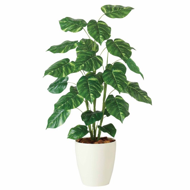 新着商品 人工観葉植物 フェイクグリーン 観葉植物 造花 光触媒 大型 ポトス R 110cm 鉢植 フェイク グリーン インテリア Ct触媒 お祝い 第1位獲得 Transcargajg Com 新着商品 人工観葉植物 フェイクグリーン 観葉植物 造花 光触媒 大型 ポトス R 110cm 鉢植 フェイク グリーン インテリア Ct触媒 お祝い 第1位獲得 Transcargajg Com