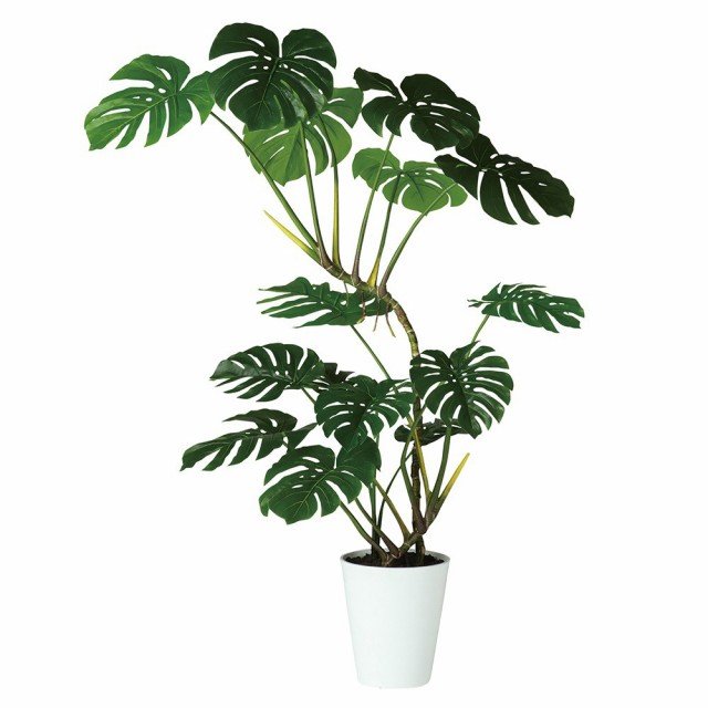 配送員設置送料無料 人工観葉植物 フェイクグリーン 観葉植物 造花 光触媒 大型 ワイルドモンステラ 160cm 鉢植 フェイク グリーン インテリア Ct触の通販はau Pay マーケット 神戸花物語 商品ロットナンバー 保障できる Bexcodeservices Com 配送員設置送料無料 人工観葉植物 フェイクグリーン 観葉植物 造花 光触媒 大型 ワイルドモンステラ 160cm 鉢植 フェイク グリーン インテリア Ct触の通販はau Pay マーケット 神戸花物語 商品ロットナンバー 保障できる Bexcodeservices Com