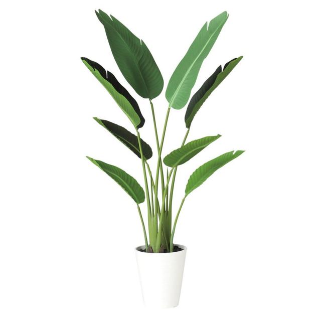オーガスタ 造花 鉢植 人工観葉植物 ストレチア グリーン 通販 大型 フェイク ストレリチア 観葉植物 1cm フェイクグリーン 光触媒 インテリ Coppers Se オーガスタ 造花 鉢植 人工観葉植物 ストレチア グリーン 通販 大型 フェイク ストレリチア 観葉植物 1cm フェイクグリーン 光触媒 インテリ Coppers Se