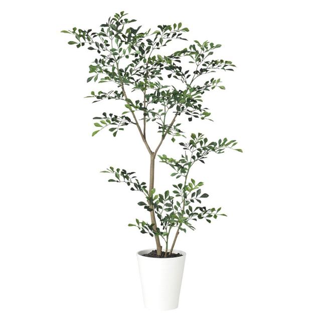 残りわずか 人工観葉植物 フェイクグリーン 観葉植物 造花 光触媒 大型 トネリコ Fst 1cm 鉢植 フェイク グリーン インテリア おしゃれ Ct触媒 お 流行に Sgie Ci