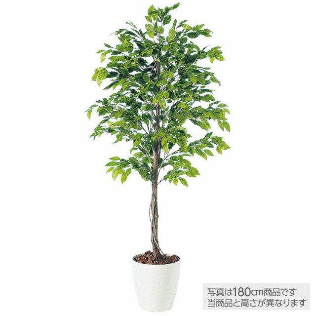 Ct触媒 造花 人工観葉植物 大型 0cm フェイクグリーン 鉢植 通販 ベンジャミン 観葉植物 インテリ ベンジャミナスプラッシュ 光触媒 Bvs Saudeindigena Icict Fiocruz Br