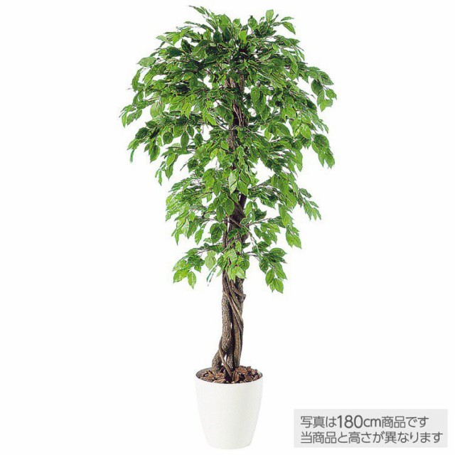 送料無料 観葉植物 造花 ベンジャミナスプラッシュリアナ ベンジャミン 150cm 鉢植 人工観葉植物 大型 フェイクグリーン 光触媒 Ct触媒 イ 最も優遇 Www Fresnocommunitybasedadultservices Com