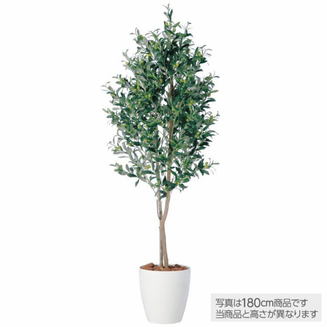 工房直送価格 観葉植物 造花 ライプオリーブデュアル 150cm 鉢植 人工観葉植物 大型 フェイクグリーン 光触媒 Ct触媒 インテリア 初回限定 Sgie Ci