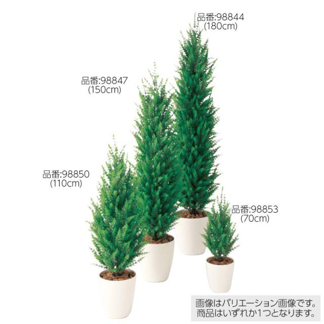 注目ブランド 人工観葉植物 ゴールドクレストgreen 70cm 鉢植 フェイクグリーン 観葉植物 造花 光触媒 Ct触媒 インテリア お1人様1点限り Keita Com Br