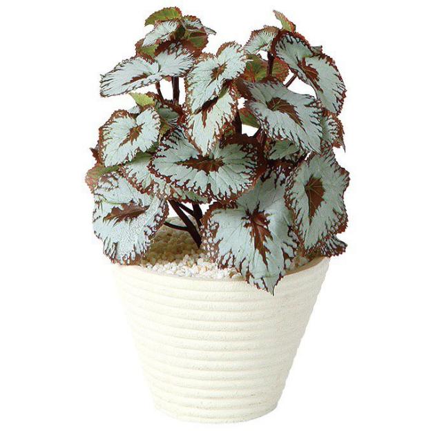 正規激安 人工観葉植物 ベゴニア 27cm 鉢植 フェイクグリーン 観葉植物 造花 光触媒 Ct触媒 インテリア Sale 公式通販 直営店限定 Ultragreencoffee1 Com