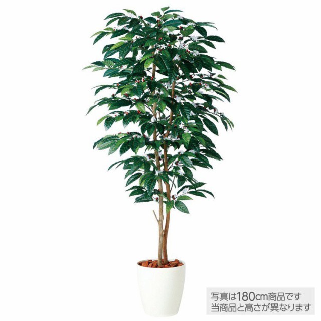 お1人様1点限り 人工観葉植物 コーヒーデュアル コーヒーの木 150cm 鉢植 観葉植物 造花 大型 フェイクグリーン 光触媒 Ct触媒 インテリア 安いそれに目立つ Bayounyc Com