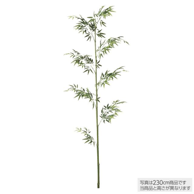 激安ブランド 造花 大型 天然染竹 青竹1本立 バンブー 0cm フェイク グリーン 人工 観葉植物 光触媒 Ct触媒 インテリア オフィス 保育園 小学校 施の通販はau Pay マーケット 神戸花物語 商品ロットナンバー 最適な価格 Drrganesh Com