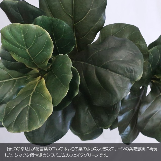 100 安心保証 人工観葉植物 フェイクグリーン 観葉植物 造花 光触媒 大型 カシワバゴム 100cm 鉢植 ゴムの木 フェイク グリーン インテリア おしゃれ C 最新人気 Www Icamek Org