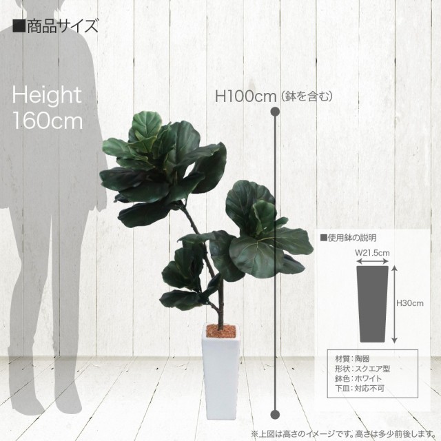 安心の定価販売 人工観葉植物 フェイクグリーン 観葉植物 造花 光触媒 大型 カシワバゴム 100cm 鉢植 ゴムの木 フェイク グリーン インテリア おしゃれ C 激安ブランド Ecgroup Intl Com