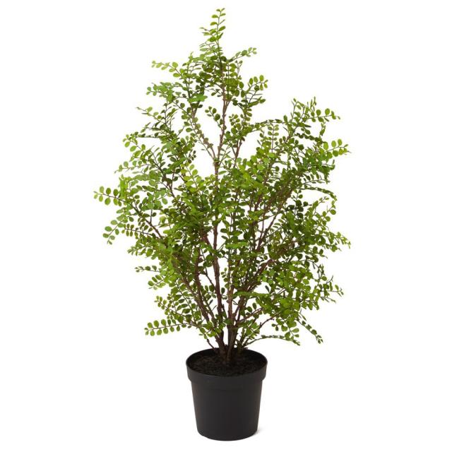 人工観葉植物 フェイクグリーン 観葉植物 造花 光触媒 シルクジャスミンポット ｓ 80cm フェイク グリーン インテリア おしゃれ Ct触の通販はau Pay マーケット 神戸花物語 商品ロットナンバー