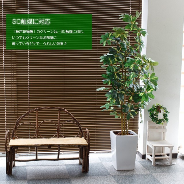 全ての 人工観葉植物 フェイクグリーン 観葉植物 造花 光触媒 大型 ナチュラル カポック シェフレラ 斑入り 180cm 鉢植 フェイク グリーン インの通販はau Pay マーケット 神戸花物語 商品ロットナンバー 新規購入 Arrton Com