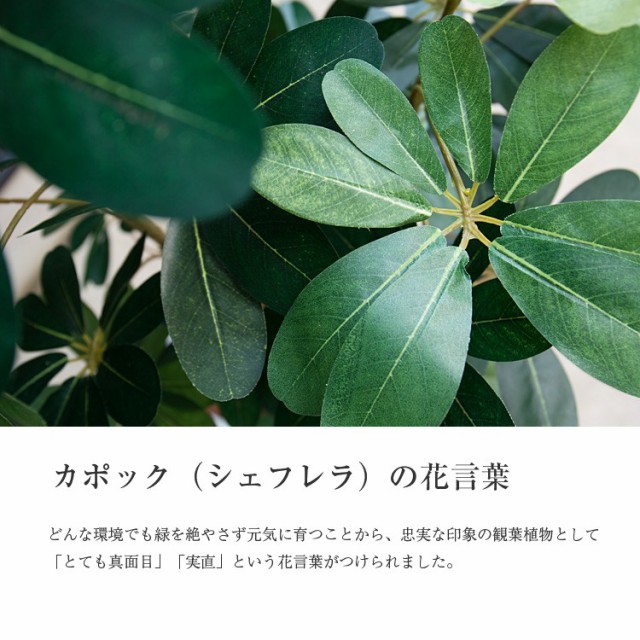 人工観葉植物 フェイクグリーン 観葉植物 造花 光触媒 大型 ナチュラル カポックツリー 160cm 鉢植 シェフレラ フェイク グリーン インテの通販はau Pay マーケット 神戸花物語 商品ロットナンバー