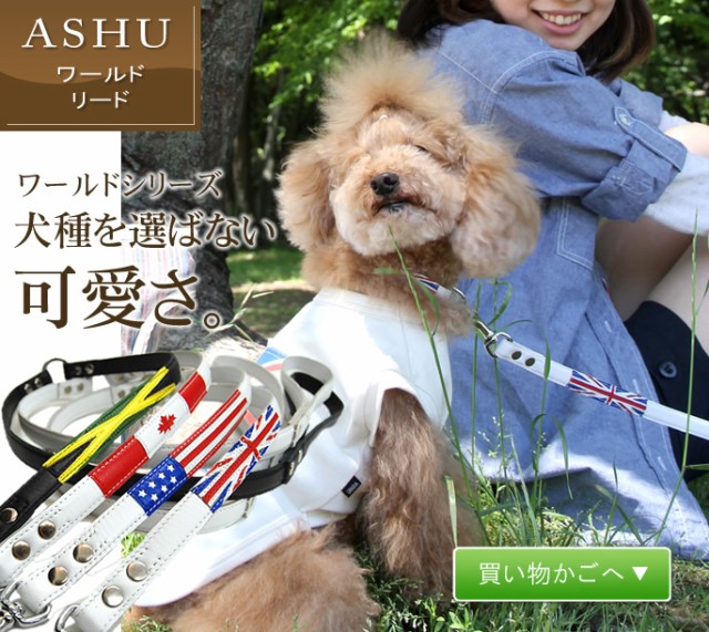 Ashu ワールド リード Sサイズ 小型犬サイズ 愛犬 リード イヌ おしゃれ お散歩 小型犬 リードの通販はau Pay マーケット 帝塚山ハウンドカム 商品ロットナンバー