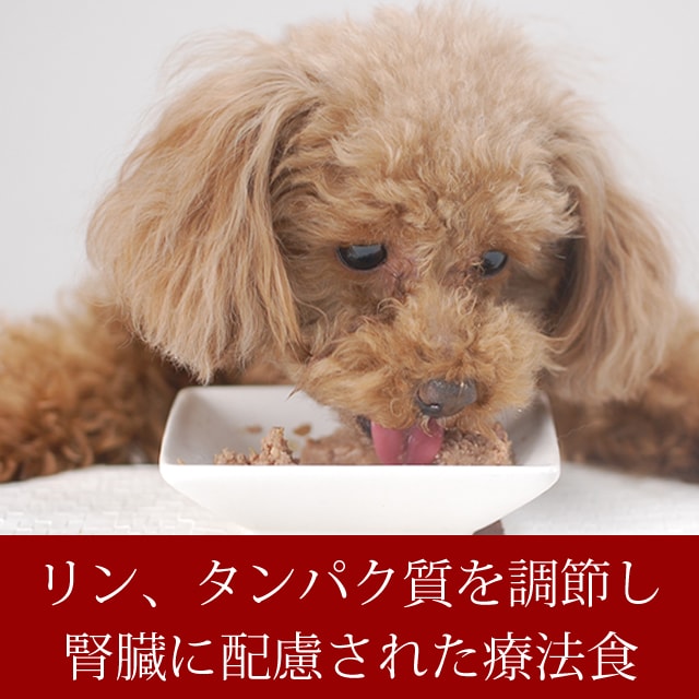 犬 Forza10 リナールアクティウェット100g12缶 Dog フォルツァディエチ 腎臓療法食 ドッグフード フォルツァ10 缶詰 ウエットフード の通販はau Pay マーケット 帝塚山ハウンドカム 商品ロットナンバー