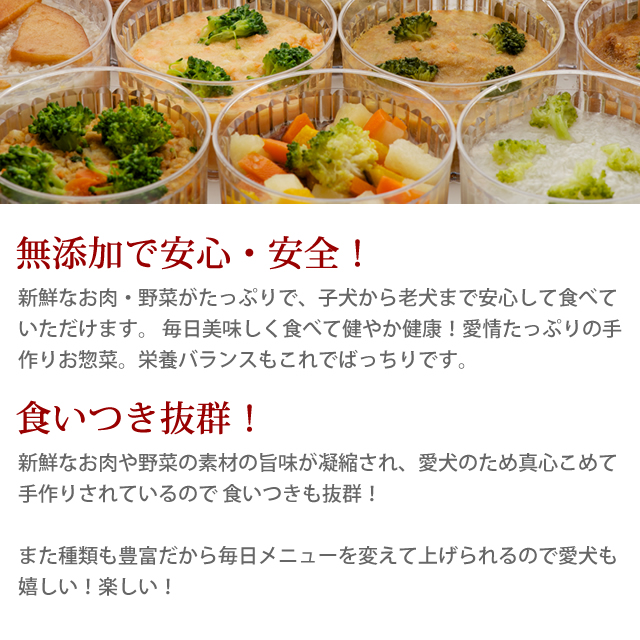 待望 犬 生肉 無添加 ドッグフード ボーン Bone チキン 鶏 1 1kg 生食 ローフード 野菜入り 酵素 乳酸菌 生骨 離乳食 老犬の流動食 介護 アレルギー Shipsctc Org
