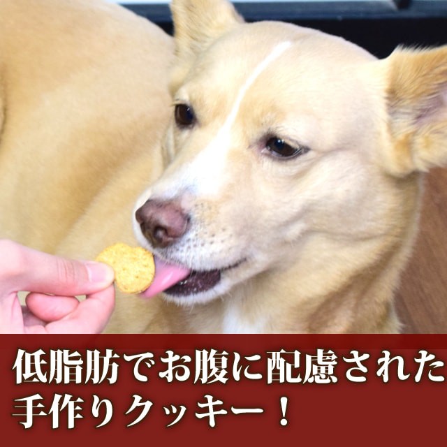 犬用クッキー オリジナルクッキー 膵ケアプラス 80g5袋 犬用 無添加おやつ 国産 低脂肪 トリーツの通販はau Pay マーケット 帝塚山ハウンドカム 商品ロットナンバー