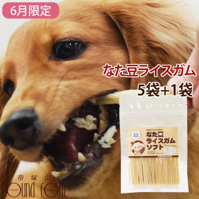 6月限定 犬用おやつ なた豆ライスガムソフト 5 1袋セット 牛皮 お米 ガム デンタルトリーツ 犬用歯磨きガム 柔らかめガム 子の通販はau Pay マーケット 帝塚山ハウンドカム 商品ロットナンバー