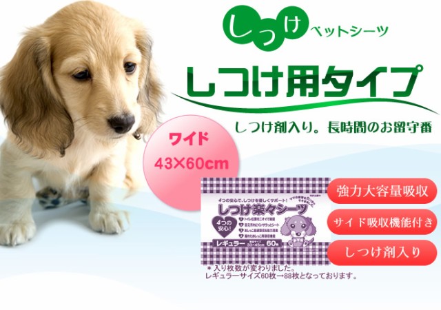 ペットシーツ トイレのしつけ用ペットシーツ ワイドサイズ176枚入 １枚27 87円 税抜 ペットシート 犬 トイレの通販はau Pay マーケット 帝塚山ハウンドカム 商品ロットナンバー