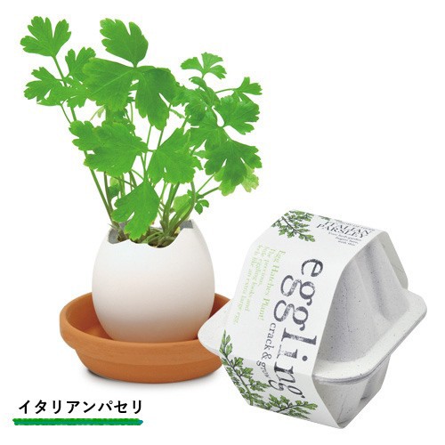 栽培キット 発芽保障 Eggling Eco Friendly ミント パセリ バジル サボテン カクタス ストロベリー ラベンダー 香草 栽培セット 聖新陶芸の通販はau Pay マーケット Plus Comfort 商品ロットナンバー