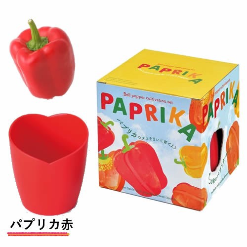 パプリカ栽培キット 発芽保障 赤いパプリカ 栽培セット 聖新陶芸の通販はau Pay マーケット Plus Comfort 商品ロットナンバー