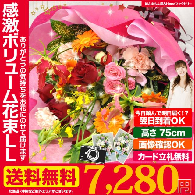新版 誕生日 の 御祝い に 誕生日 記念日 お祝い 花 ギフト に 感激おまかせllサイズ 花束 ブーケ 送料無料 手数料安い Ballonsdeprestige Fr