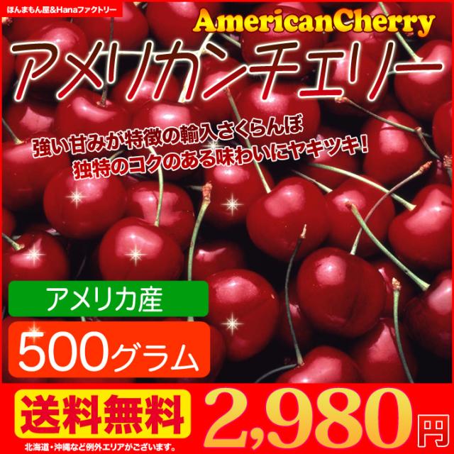 アメリカンチェリー 送料無料 アメリカ産 さくらんぼ 大粒 500g の通販はau Pay マーケット ほんまもん屋 花 ファクトリー 商品ロットナンバー