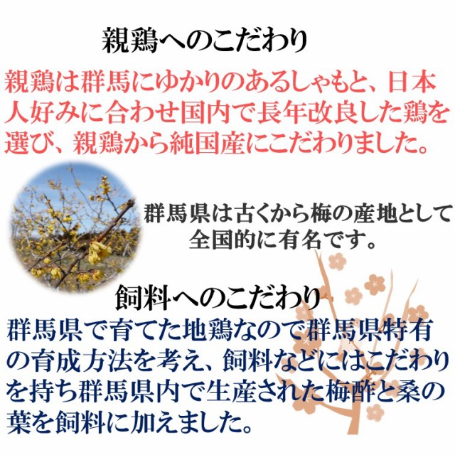 激安特価 レトルト 業務用 地鶏 上州地鶏炭火焼 70g 10食 送料無料 地鶏焼 焼き鳥 鶏肉 国産 ポイント消化 買い回り まとめ買い セット 詰め合わ 正規販売店 Carlavista Com