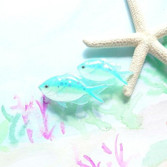 割引クーポン対象品 デバスズメダイ ブローチ スズメダイ 海の生き物 熱帯魚 魚 かわいい おしゃれ キラキラ ハンドメイド レディース 留め具 魚 注目ブランド Www Theitgroup It