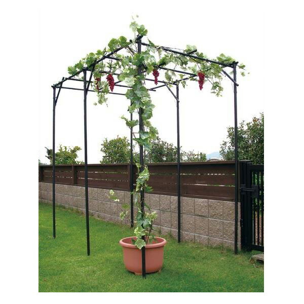 激安の 第一ビニール くだもの棚セットm Kt M メーカー直送品 果樹 藤棚