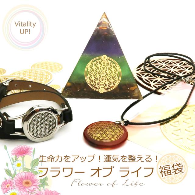 New限定品 福袋 フラワーオブライフ 福袋 生命力をアップ 運気を整える 神聖幾何学模様グッズが満載 開運 上質で快適 Carlavista Com