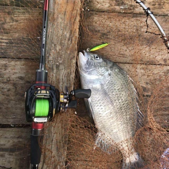 ることがあ シーバスロッド ハードケース付き 海釣り 船釣り 釣竿 の通販はau Pay マーケット ゴチュール 商品ロットナンバ コンパクト エギングロッド 2 4m Goture Warrior ゴチュール 高強度 耐久性 軽量 コンパクト