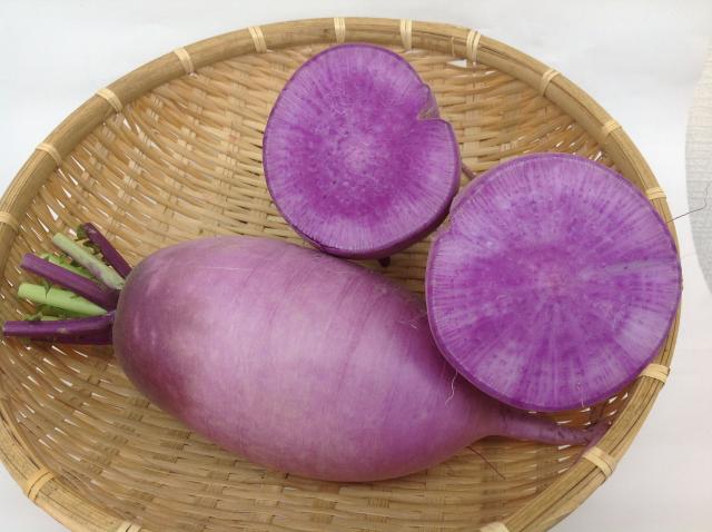 紫大根 北海道産 1本の通販はau Pay マーケット となり市場 商品ロットナンバー