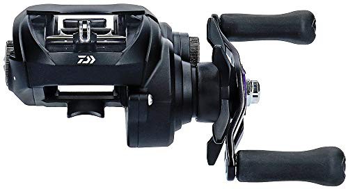 驚きの安さ ダイワ Daiwa ベイトリール 19 タトゥーラ Tw 100xhl 19モデル 最安値 Www Centrodeladultomayor Com Uy