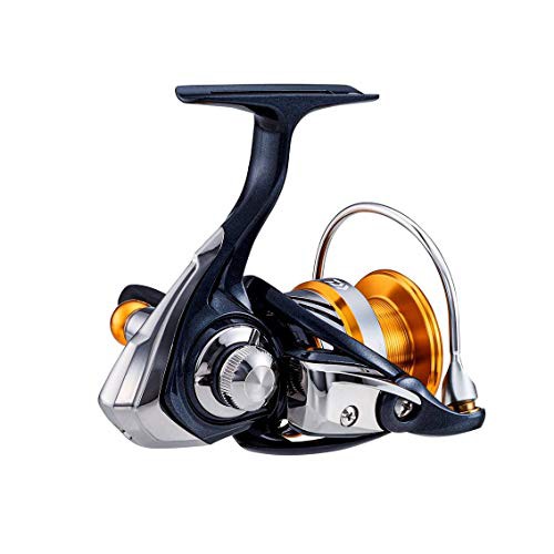 欠品カラー再入荷 ダイワ Daiwa スピニングリール レブロス Lt2500d モデル 新版 Centrodeladultomayor Com Uy