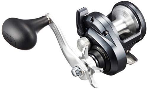 即納限定価格 のベイトリール トリウム ベイトリール ジギング 両軸 シマノ Shimano 1500hg 右 初心者向け 1500hg 右 大幅値引き中の 即納限定価格 のベイトリール トリウム ベイトリール ジギング 両軸 シマノ Shimano 1500hg 右 初心者向け 1500hg 右 大幅値引き中の