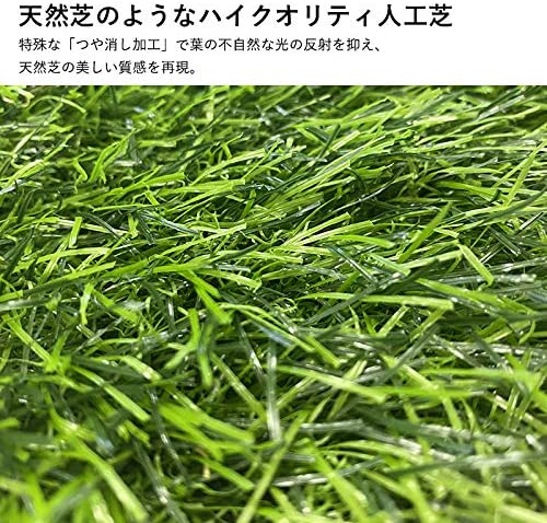 50 Off 人工芝マット ピン付 10m 1m 玄関 室内 庭 ガーデニング 1年保証 激安 即納 Carlavista Com
