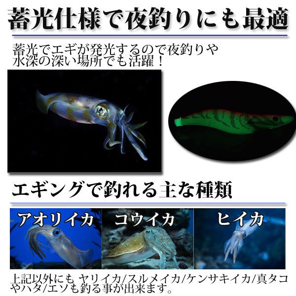 人気ブランドを エギング イカ釣り エギセット エギ 夜光 30個セット 大量 4号 3 5号 3号 2 5号 アオリイカ コウイカ ヒイカ 真タコ ルアー 100 安心保証 Carlavista Com