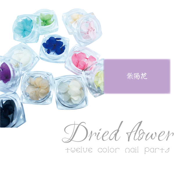 アウトレット送料無料 ドライフラワー 12色セット 紫陽花 花びら 押し花 ネイル レジン セット 素材 おしばな あじさい 豪華 Sportsclubnaples Org